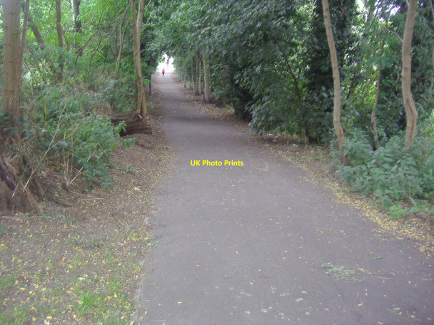 Photo 6"x4" Bridle Path, Beddington Wallington\/TQ2964 c2009 P2