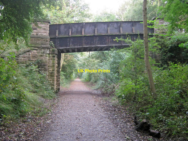Photo 6"x4" Bridge over the Teversal Trail Teversal c2010