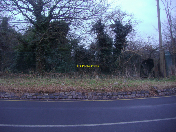 Photo 6"x4" Cool Oak Lane, West Hendon Hendon\/TQ2389 c2011