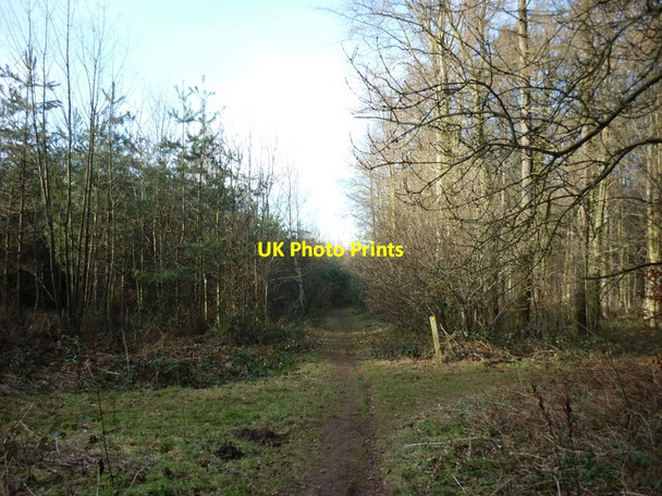 Photo 6"x4" A footpath to Santon Broughton\/SE9608 c2011