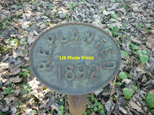 Photo 6"x4" A small wood to the south of Santon Wood #3 Santon\/SE9212 c2011
