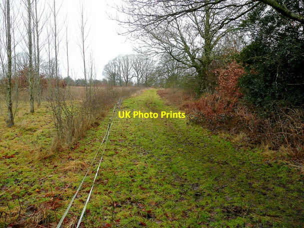Photo 6"x4" Footpath to Pen-y-garn Penallt c2011
