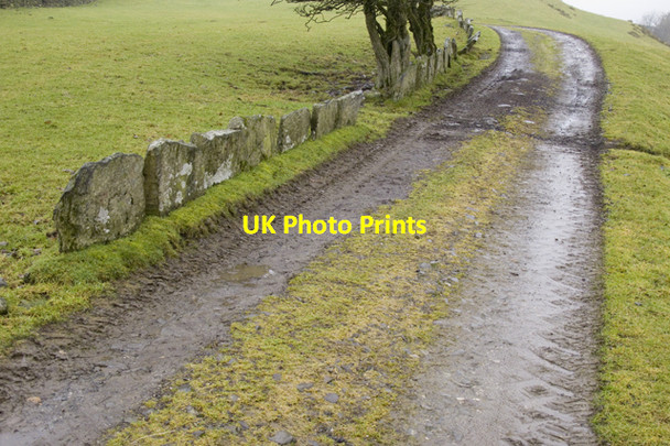 Photo 6"x4" Bridleway to Bridge End Garnett Bridge c2011