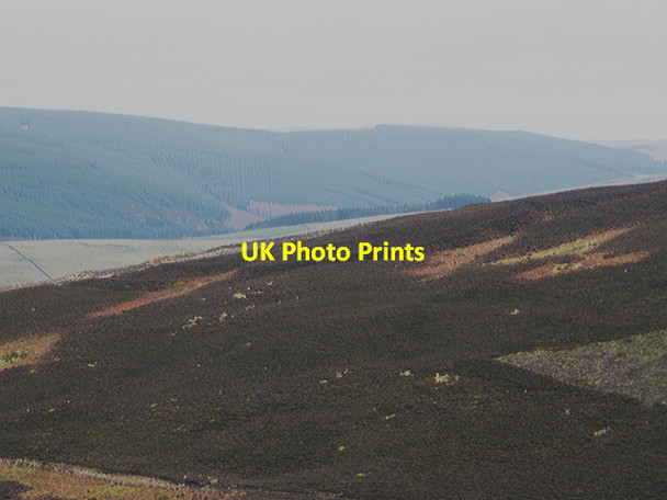 Photo 6"x4" Ditch and rampart dwelling earthworks, Orchard Rig Howford\/NT3136 c2011