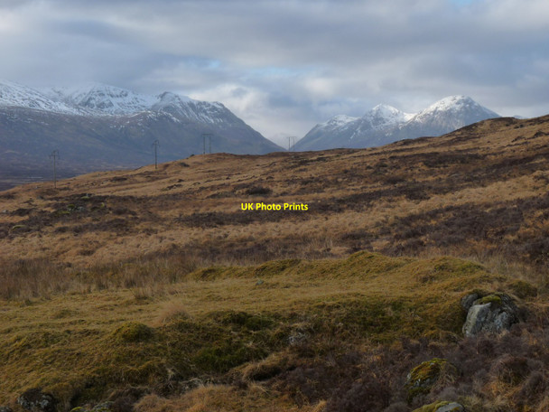 Photo 6"x4" Abandoned garden on Rannoch Moor Tom Dubh-m\u00f2r c2011