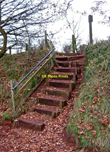 Photo 6"x4" Steps from Leapgate Country Park to public footpath to Wilden Top Road Stourport-on-Severn c2010