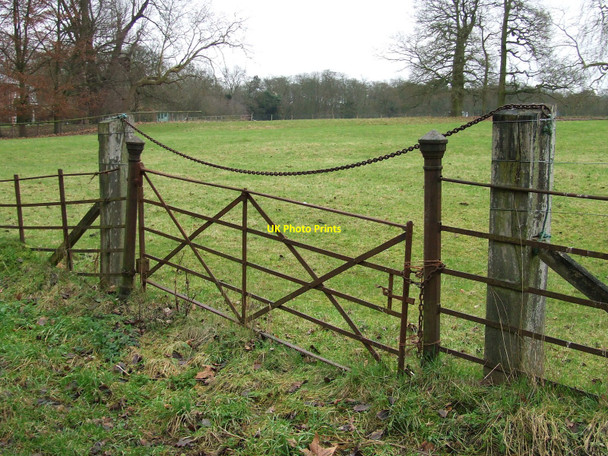 Photo 6"x4" Old Gate Frizzeler's Green c2011