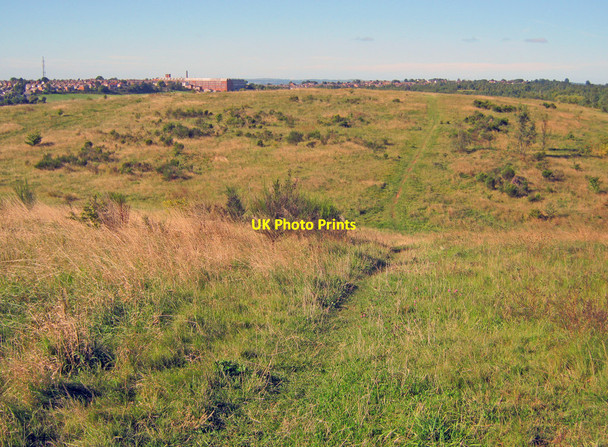 Photo 6"x4" Brierley Forest Park - 2 Sutton In Ashfield c2010