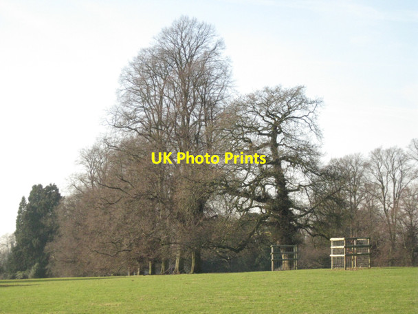 Photo 6"x4" Remains of an avenue, Berkswell Hall Berkswell c2011