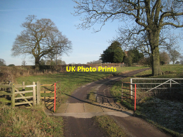 Photo 6"x4" Cattle grid near Blind Hall Berkswell c2011
