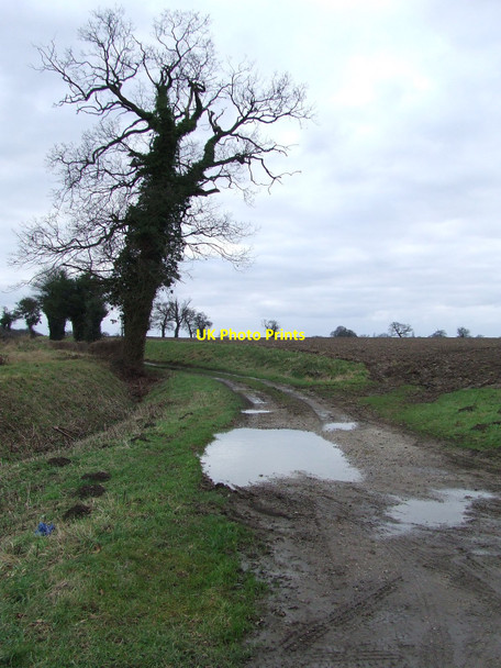 Photo 6"x4" Muddy Track Frizzeler's Green c2011