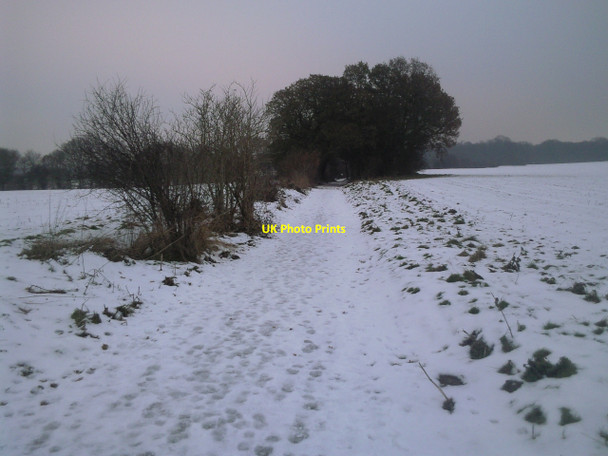 Photo 6"x4" Snowy approach to Cobham Hall Cobham\/TQ6768 c2010