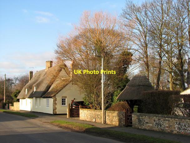 Photo 6"x4" Great Wilbraham: winter trees and sunlit thatch Great Wilbraham c2011