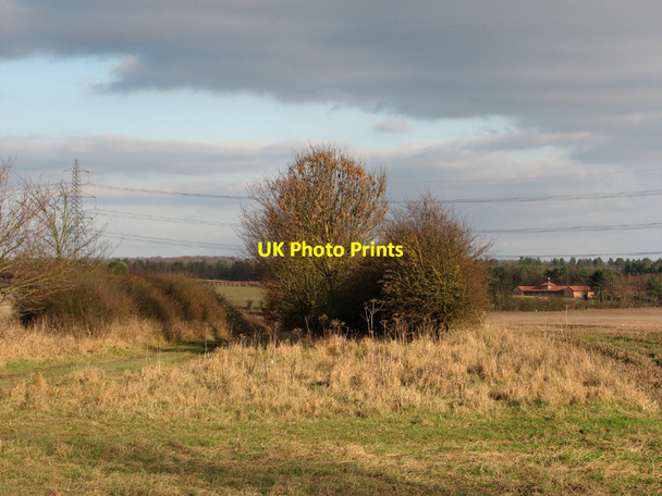 Photo 6"x4" Byway and stud farm Great Wilbraham c2011