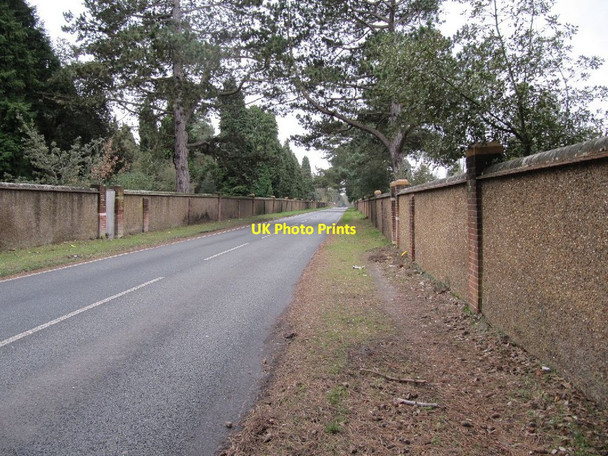 Photo 6"x4" Road to Pirbright Brookwood c2011