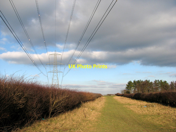 Photo 6"x4" Under the power line Great Wilbraham c2011