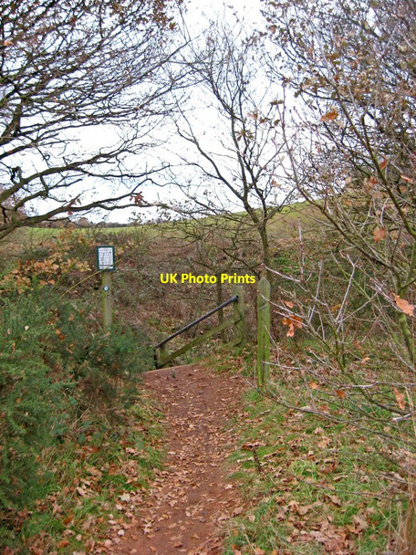 Photo 6"x4" Public footpath to steps to Leapgate Country Park Stourport-on-Severn c2010