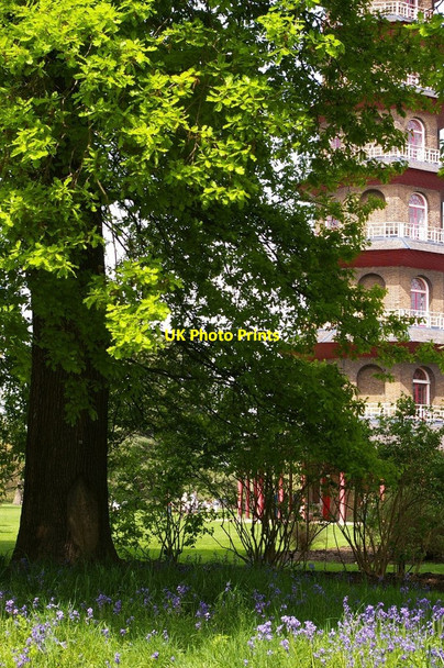 Photo 6"x4" Kew Gardens: the Pagoda at bluebell time Brentford c2008