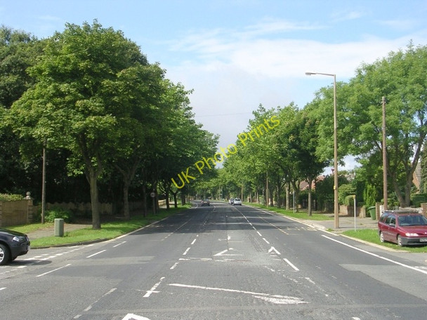 Photo 6"x4" Bradley Road - viewed from Redwood Drive Bradley\/SE1620 c2009 P1