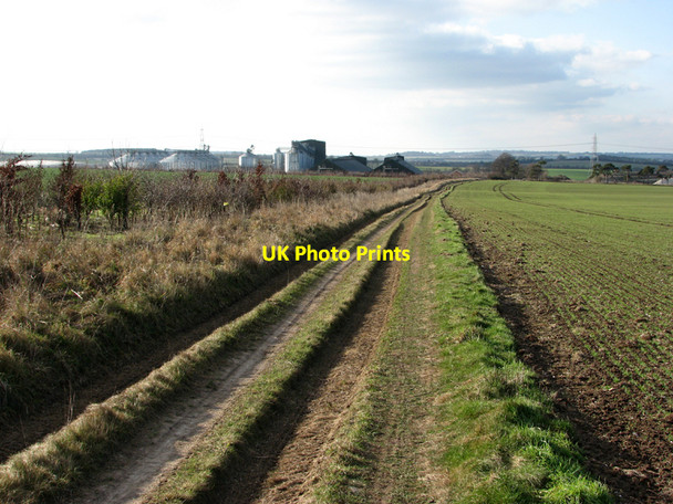Photo 6"x4" On Old Cambridge Road Lark Hall Heath Fm c2011