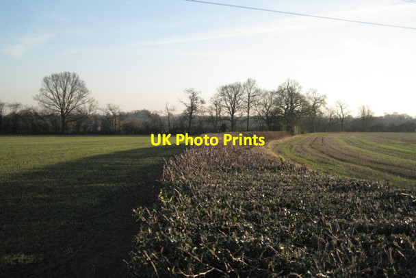 Photo 6"x4" Wide hedge south of Benton Green Benton Green c2011