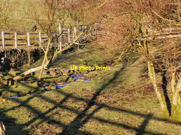 Photo 6"x4" River Medlock, Strinesdale Shaw\/SD9308 c2011 P1