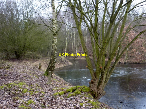 Photo 6"x4" Small lake, Poulter Country Park Whaley c2011
