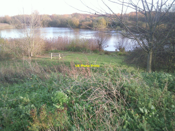 Photo 6"x4" View across Bedfont Lakes Country Park Ashford\/TQ0671 c2010