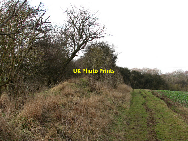 Photo 6"x4" The end of Fleam Dyke Balsam c2011