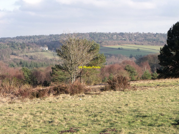 Photo 6"x4" View of Ashdown Forest from Kings Standing Jumper's Town c2011
