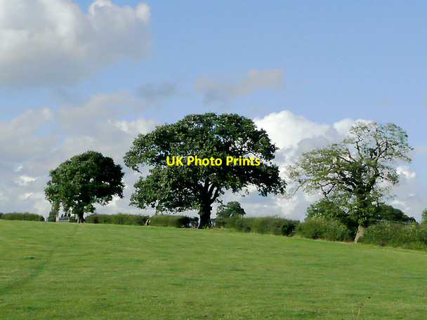 Photo 6"x4" Pasture near Stoke Pound, Worcestershire Stoke Pound c2010