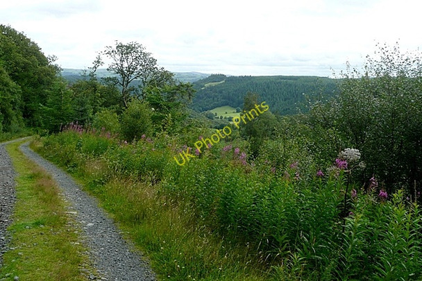 Photo 6"x4" View from the forest track Capel Curig c2009
