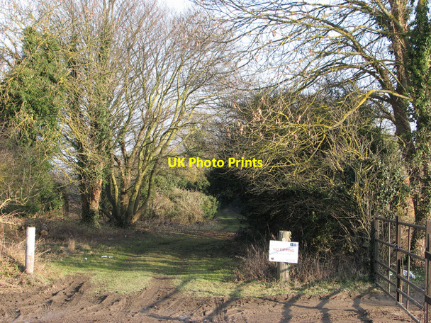 Photo 6"x4" Path to Fleam Dyke Fulbourn c2011