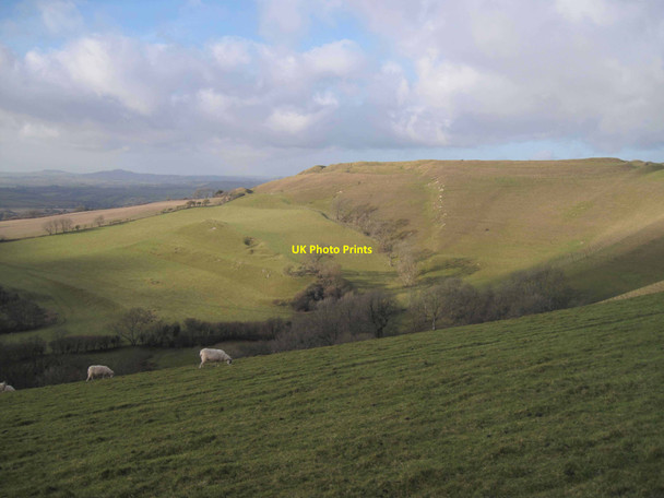Photo 6"x4" Eggardon Hill West Compton\/SY5694 c2011