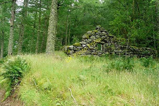 Photo 6"x4" Cottage in the forest Capel Curig c2009