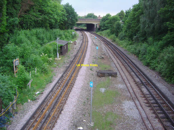 Photo 6"x4" Railway lines south of Gunnersbury Chiswick c2008
