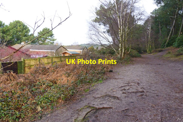 Photo 6"x4" Footpath at St Catherine's Hill St Catherine's Hill\/SZ1495 c2011