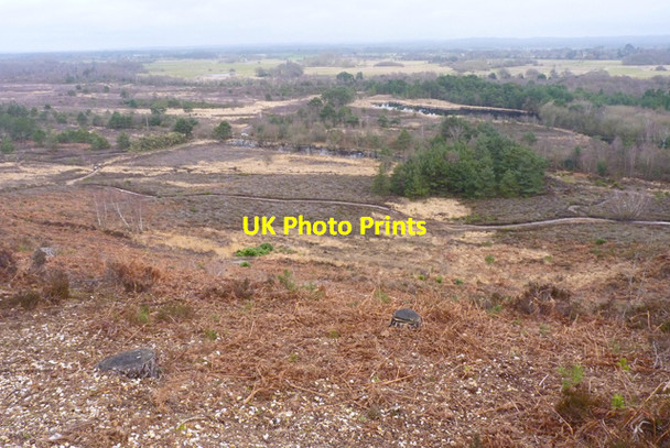 Photo 6"x4" The eastern slopes of St Catherine's Hill St Catherine's Hill\/SZ1495 c2011