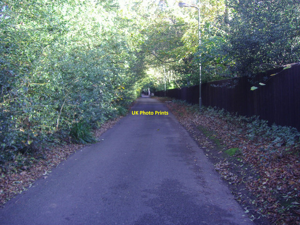 Photo 6"x4" Nan Clark's Lane, Mill Hill Edgware c2008