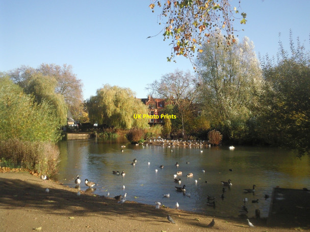 Photo 6"x4" Barnes Pond Barnes c2010