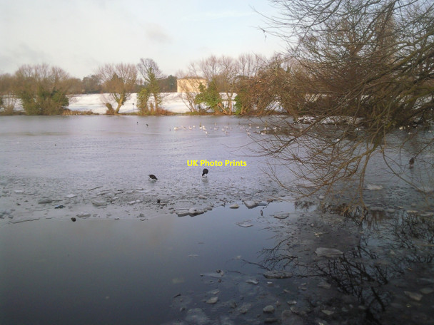 Photo 6"x4" Birds on frozen Danson Park Lake Bexley c2010