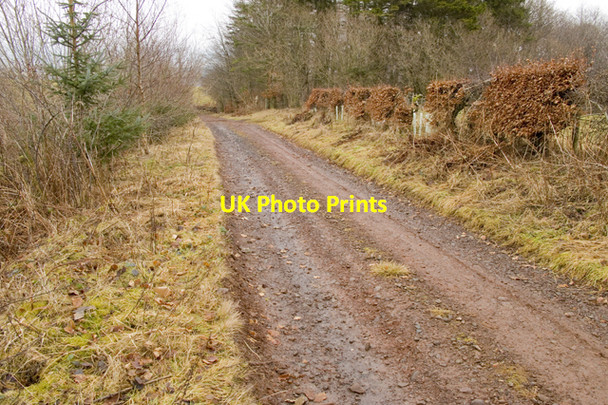 Photo 6"x4" Track in Rig Plantation Enoch\/NS8701 c2011