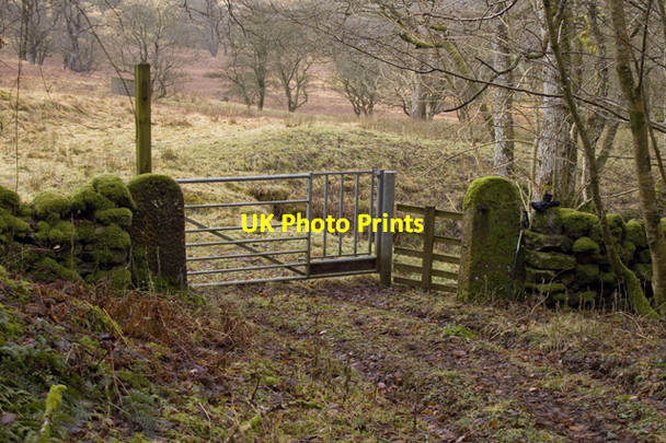 Photo 6"x4" Footpath to Burnmouth Enterkinfoot c2011