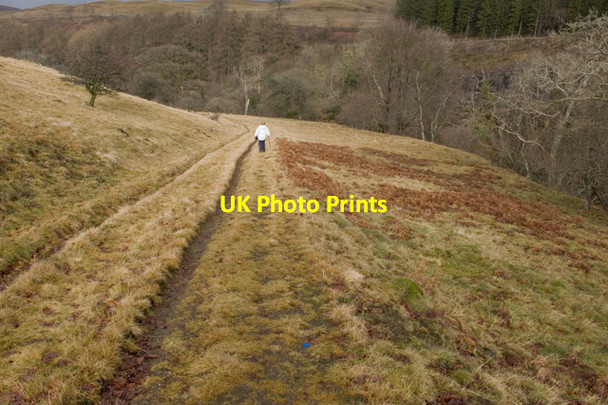 Photo 6"x4" Footpath to Burnmouth Enterkinfoot c2011