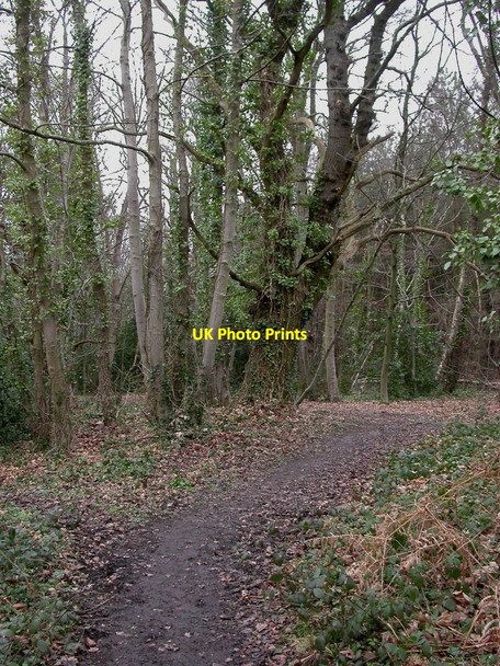 Photo 6"x4" Everton, bridleway Everton\/SZ2994 c2011