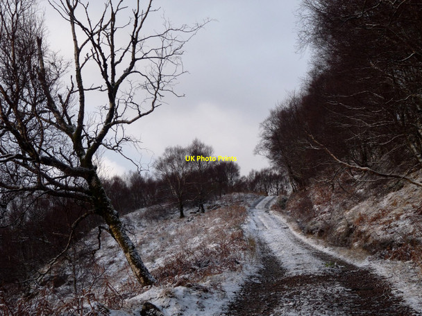 Photo 6"x4" The track westwards from Mamore Lodge Kinlochmore c2011