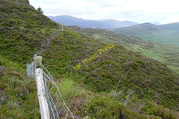 Photo 6"x4" The boundary fence Bethania\/SH6250 c2009