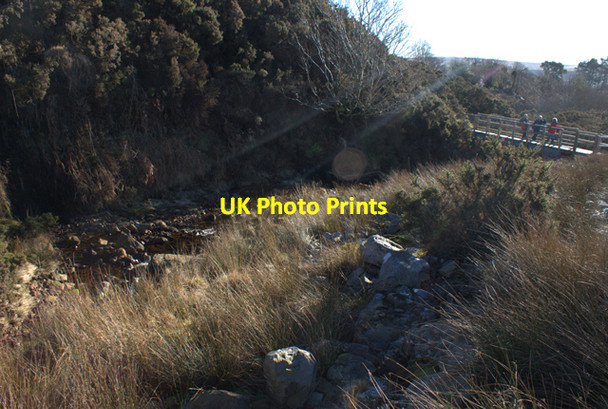 Photo 6"x4" Nant Melyn (Yellow Brook) Brynamman c2011