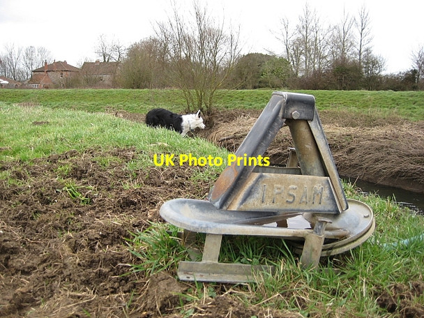 Photo 6"x4" Self Service For Cows Isle Brewers c2011