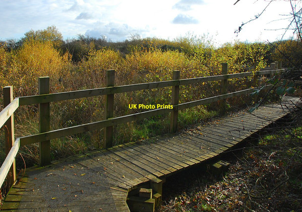 Photo 6"x4" Walkway to pond Heswall c2010